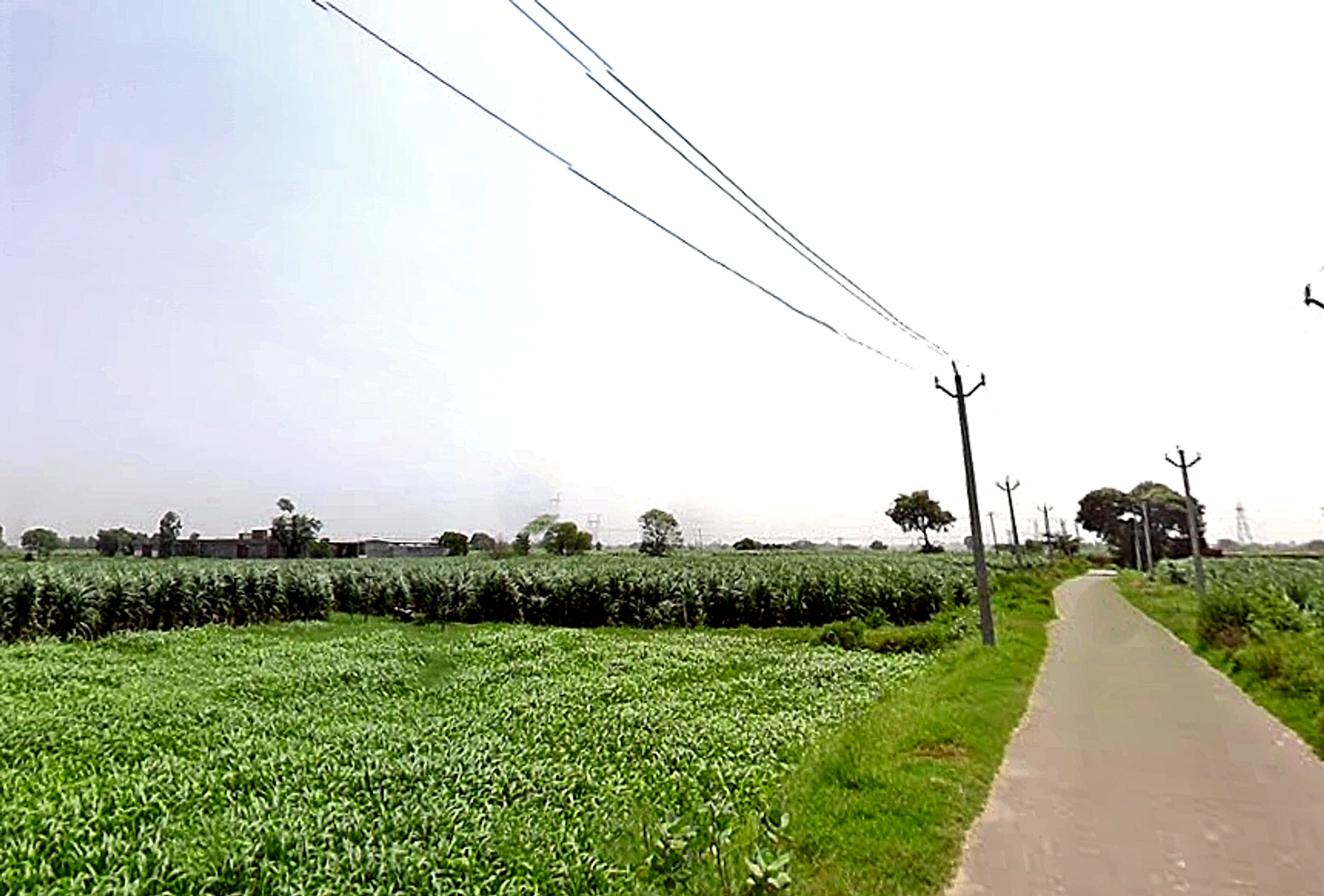 Satwai, Uttar Pradesh, India