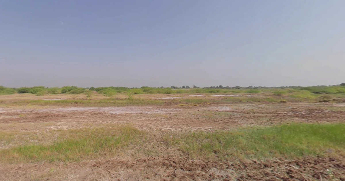 Limbdi, Gujarat 363421, India