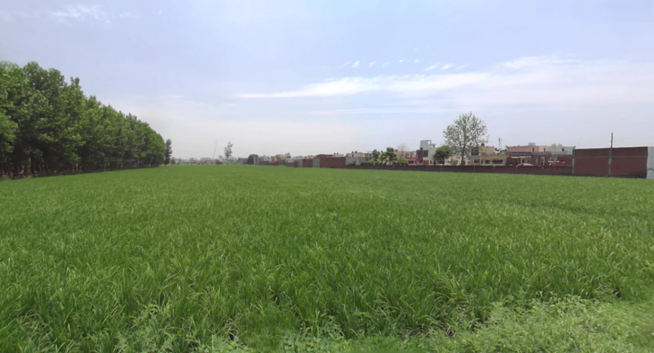 Dineshpur, Uttarakhand 263160, India