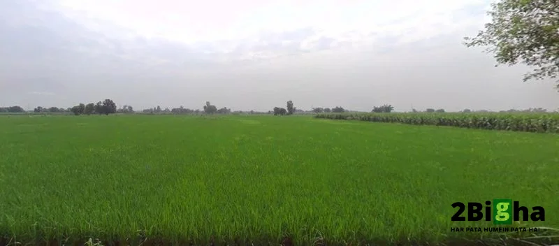 Bhogpur, Punjab 144201, India preview 2