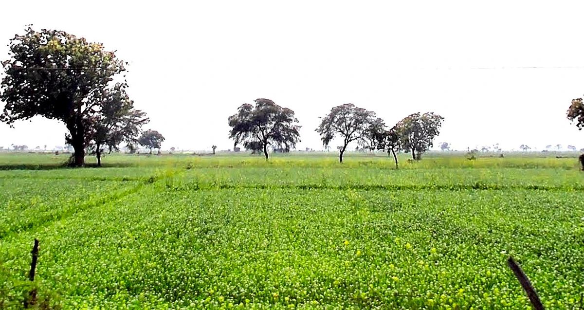 Gora, Madhya Pradesh 475685, India