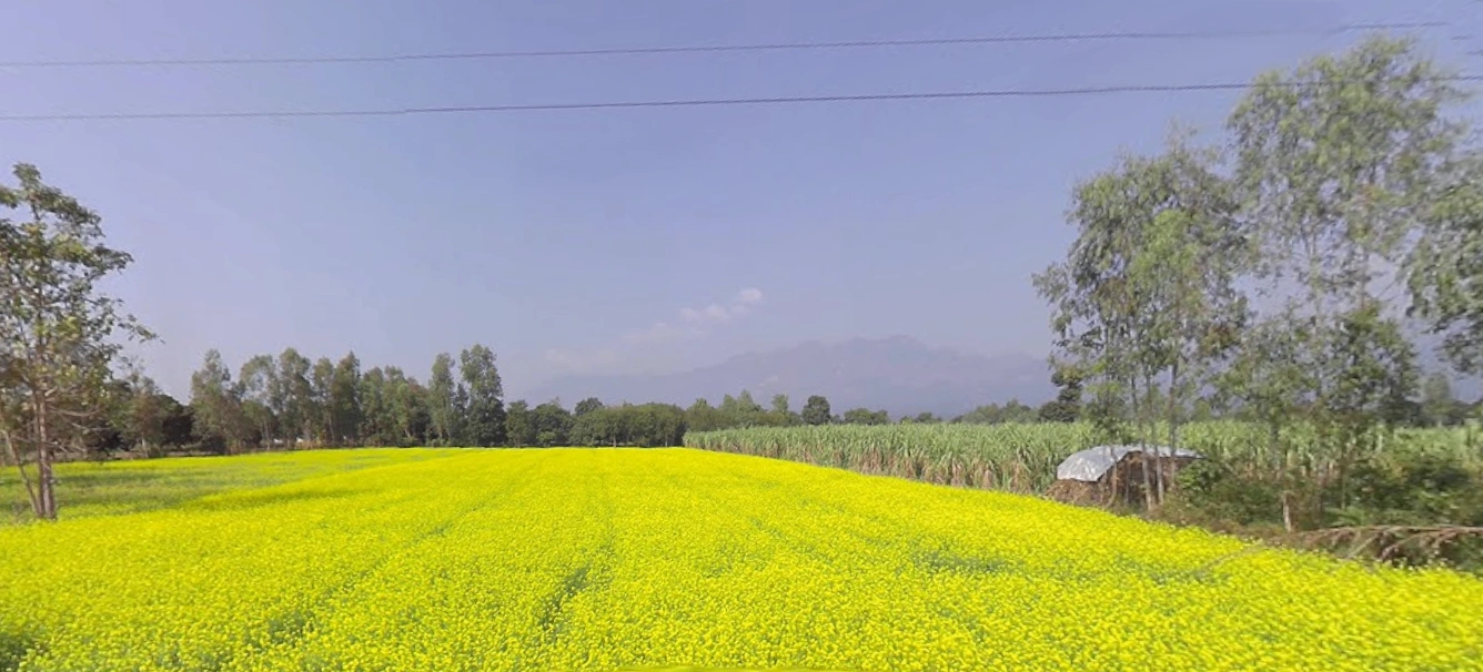 Mukteshwar, Uttarakhand, India