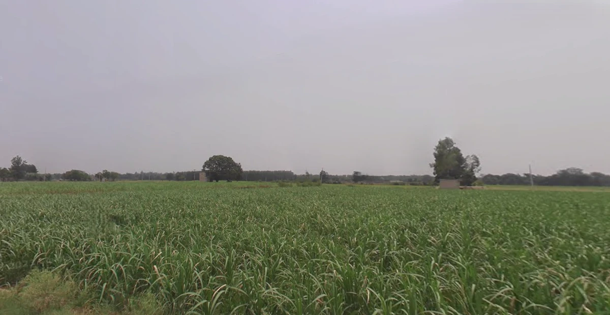 Kharar, Punjab 140301, India