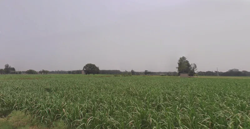 Kharar, Punjab 140301, India preview 3