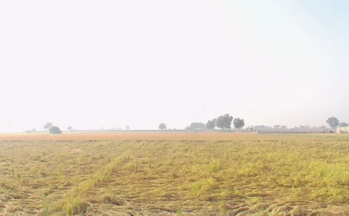 Ellenabad, Sirsa, Haryana 125055, India