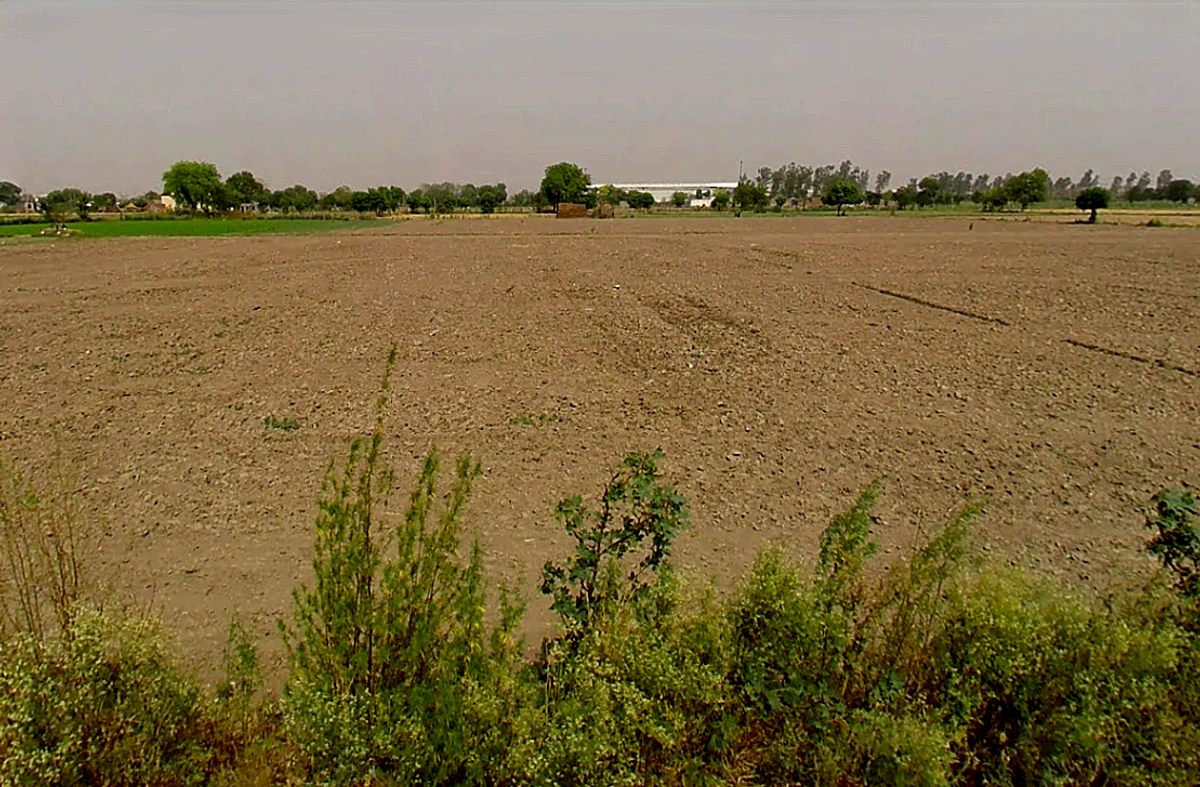 Pirthla, Haryana, India