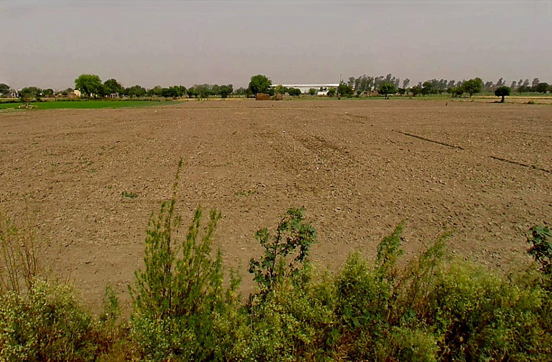 Pirthla, Haryana, India