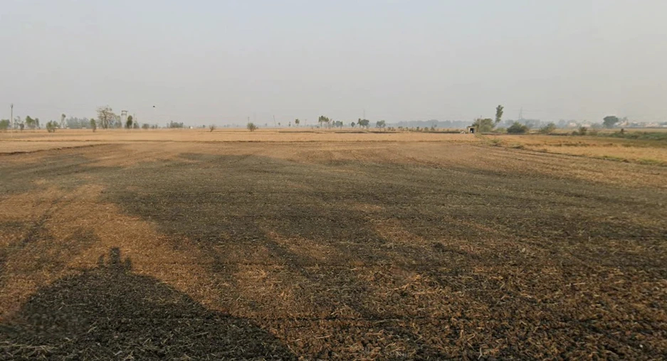 Kharar, Punjab 140301, India