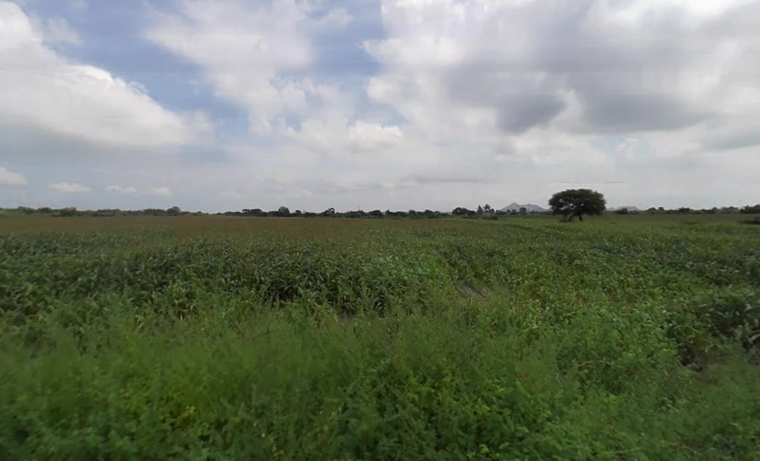 6W66+X5 Lakshmi Nagar Camp, Karnataka, India