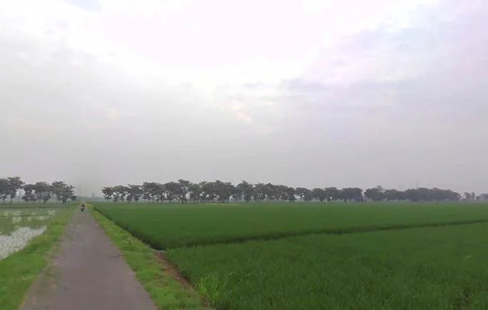 Jaitowal, Punjab, India preview 2