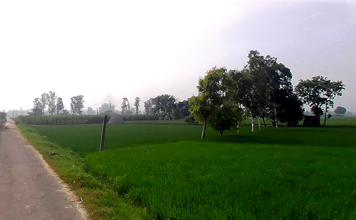 Sandhir, Haryana 132117, India