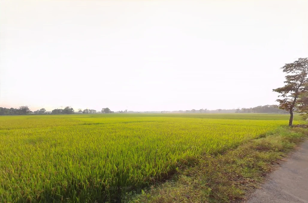 Falakata, West Bengal 735211, India