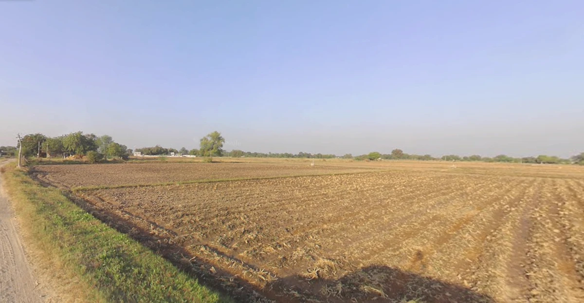 Adhana, Gujarat 384441, India