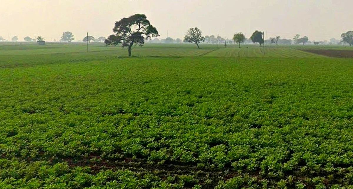 Kopal, Bhopal, Madhya Pradesh 462044, India