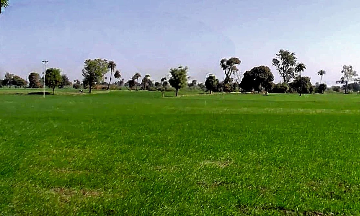 Shujalpur, Madhya Pradesh 465333, India