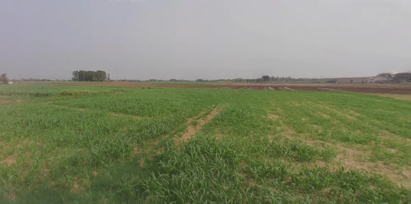 Morinda - Chunni Rd, Bhateri, Punjab, India preview 2