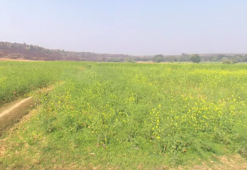 Pagar, Uttar Pradesh 231211, India