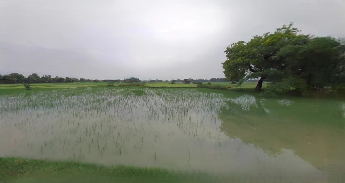 Kothi, Madhya Pradesh 485666, India