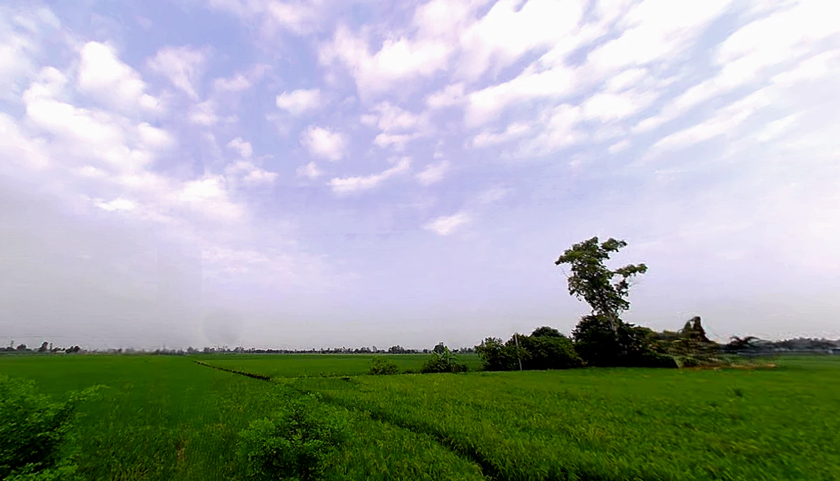 Mohanpur, Haryana 136128, India