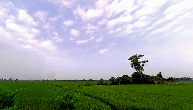 Mohanpur, Haryana 136128, India preview 2