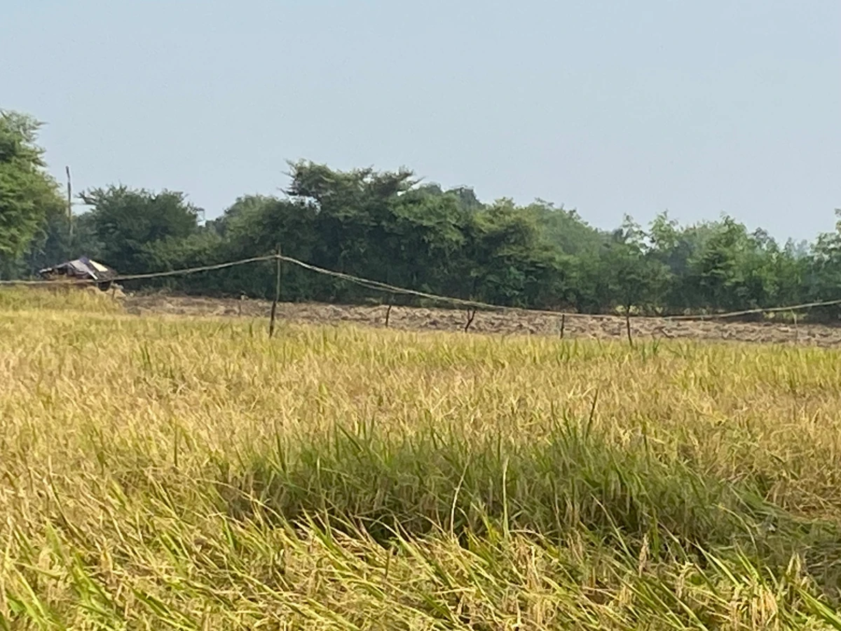 Agricultural Land in Hoshangabad, Hoshangabad