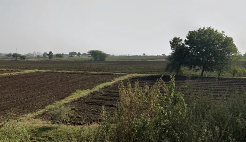 Agricultural Land in Sejwani, Indore