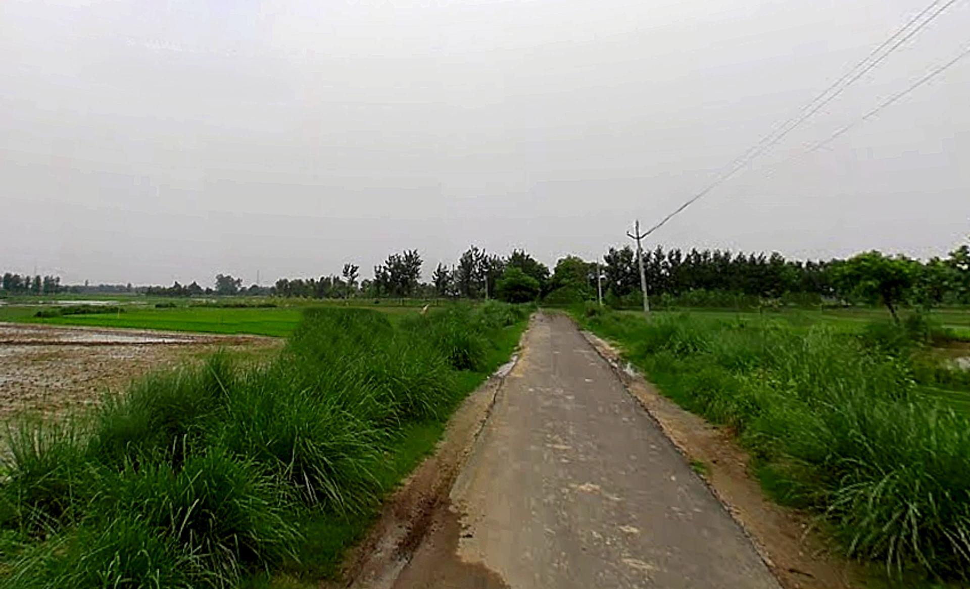 Papad Hamjapur, Uttar Pradesh 243635, India