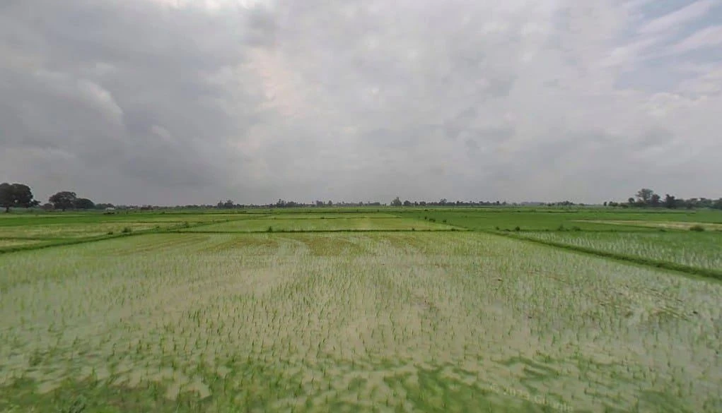 Kanchanpur, Uttar Pradesh 212110, India