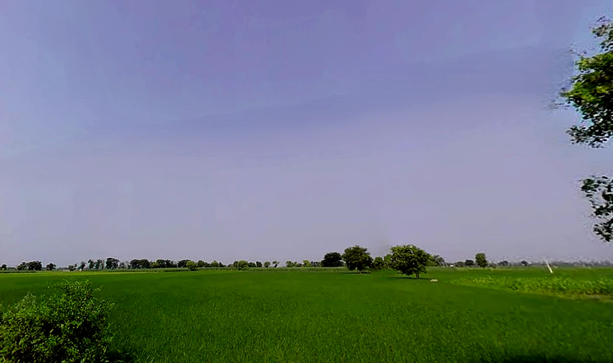 Kurlan, Haryana 132046, India