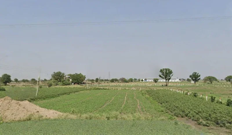 3R5F+VMP, Nayakhedi, Madhya Pradesh 456006, India preview 2