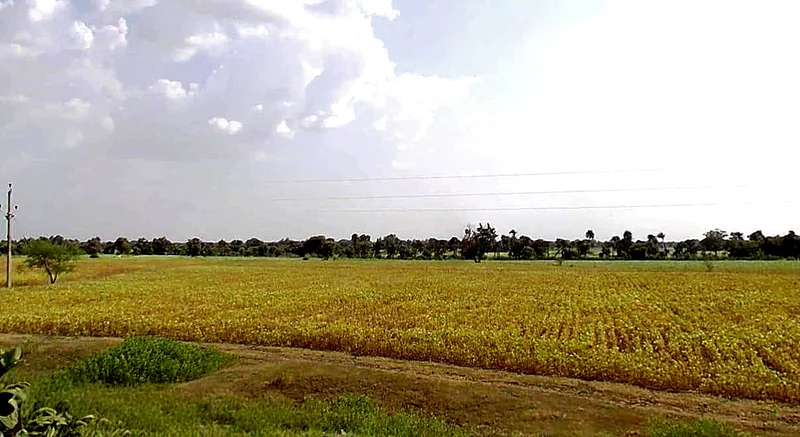 GHP6+R8G, Delchibuzurg, Madhya Pradesh, India