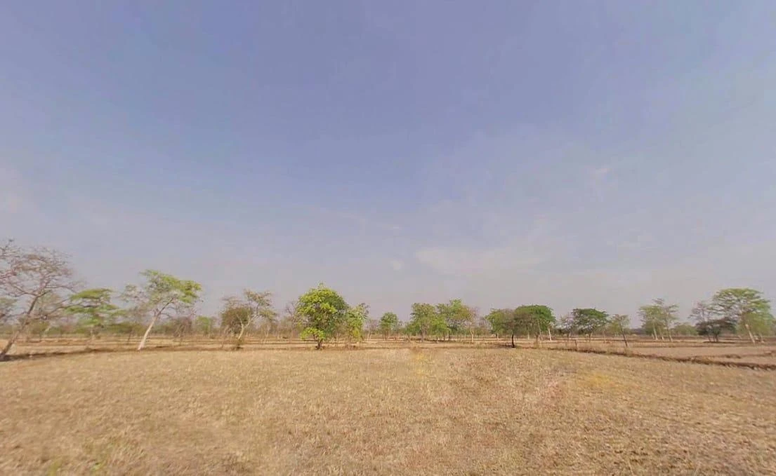 8X56+GRJ, Khamhnia, Chhattisgarh 493778, India