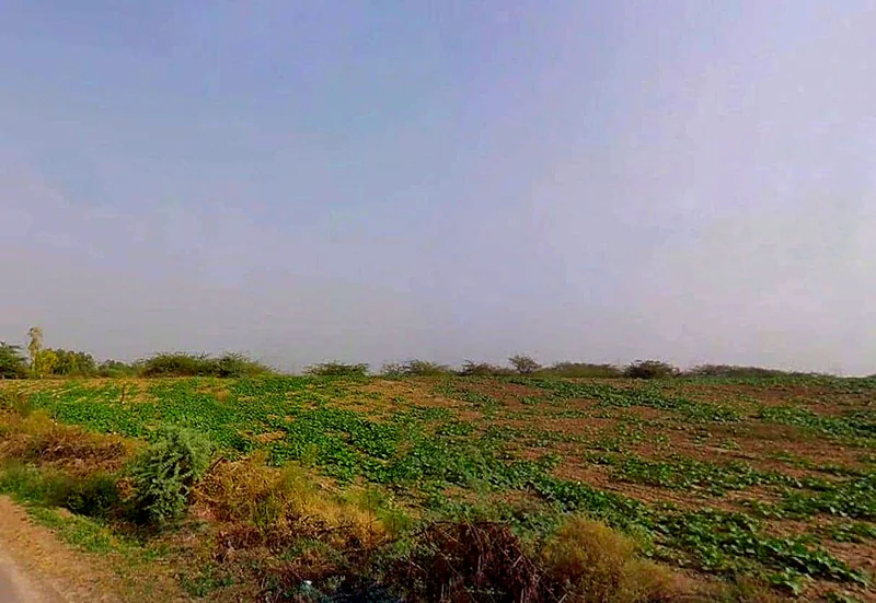 J69C+GQ2, Badakhera, Rajasthan 323603, India