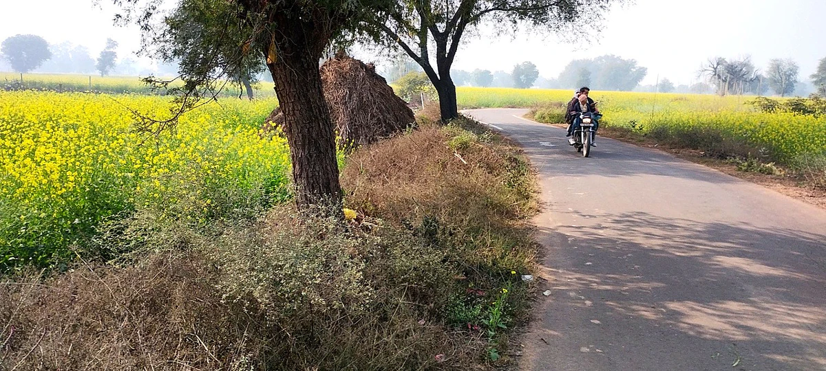 Butyana, Rajasthan 301021, India