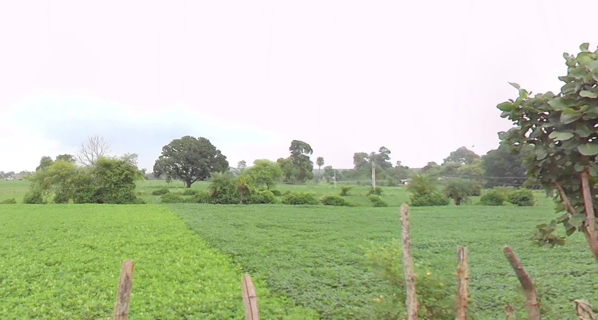Charka, Madhya Pradesh, India