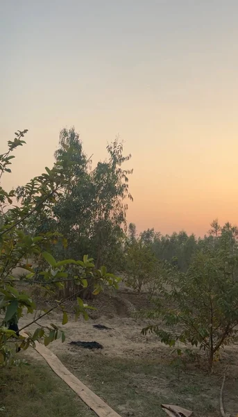 Gokulpur, Uttar Pradesh, India preview 4