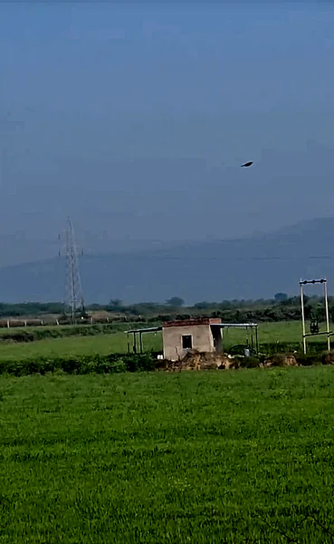 J7H6+6M Peepalda, Rajasthan, India