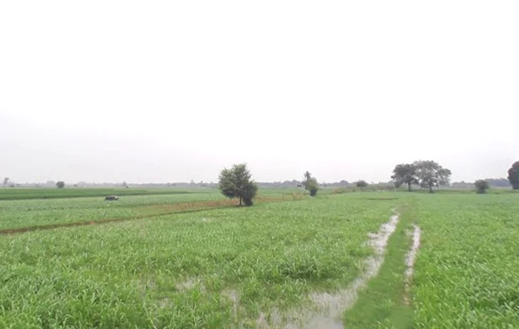 Kankather, Uttar Pradesh 244235, India