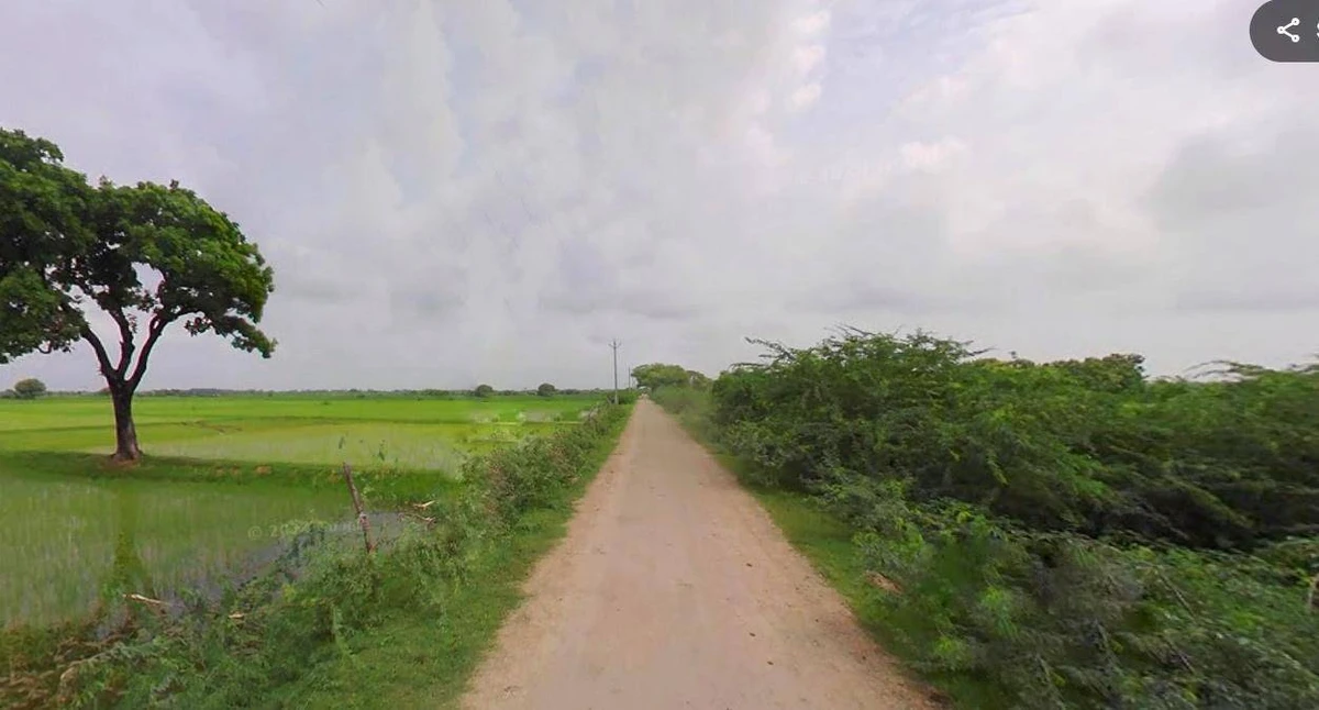 AGRICULTURAL in DHUBRI /GAURIPUR, dhubri