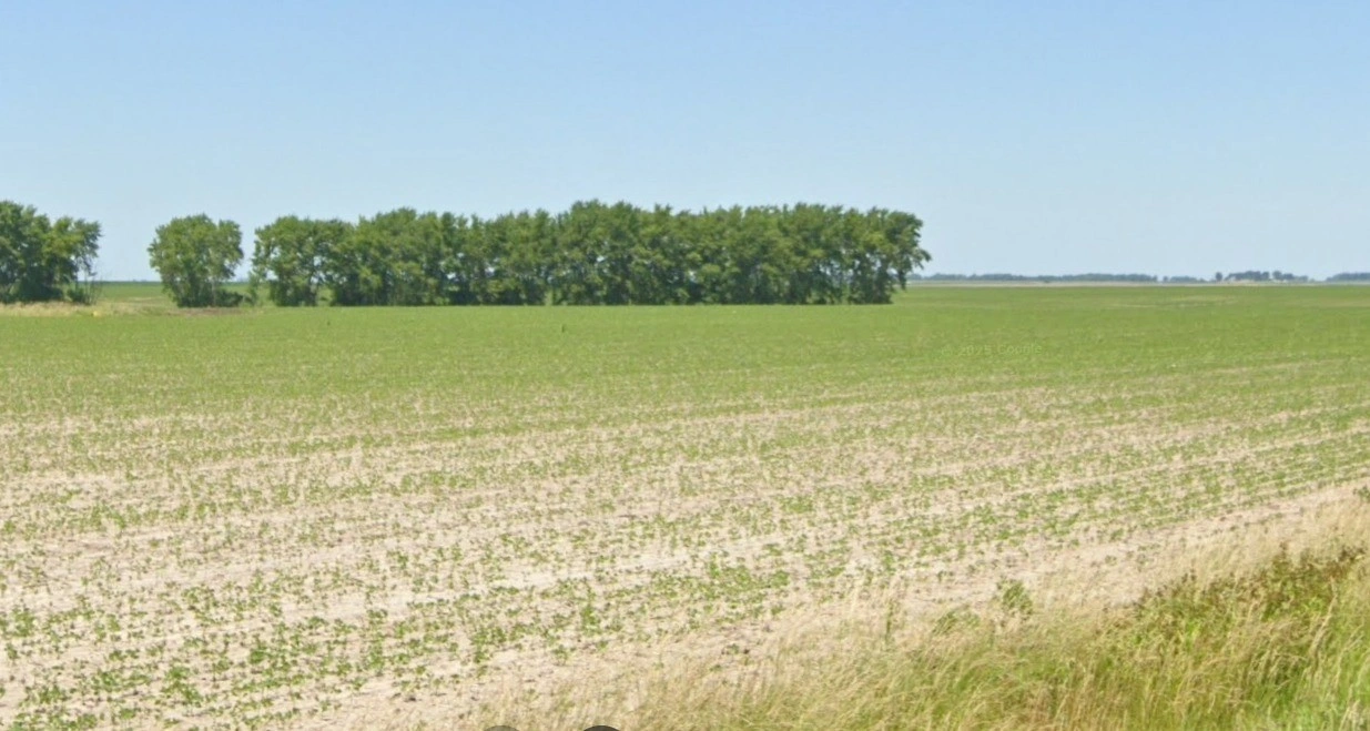 Basondi, Madhya Pradesh 475220, India