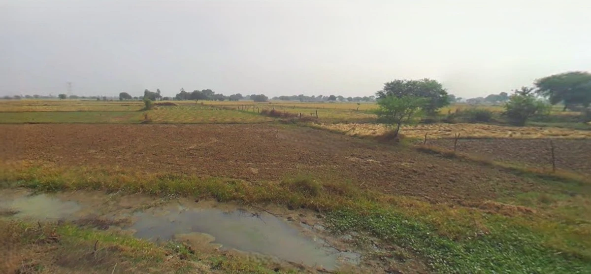 Prayagraj, Uttar Pradesh, India