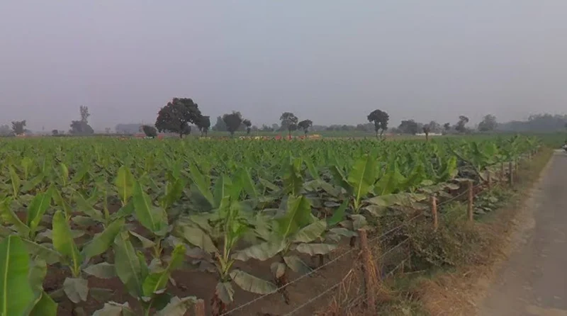 Arjun pur, Uttar Pradesh 226203, India preview 2