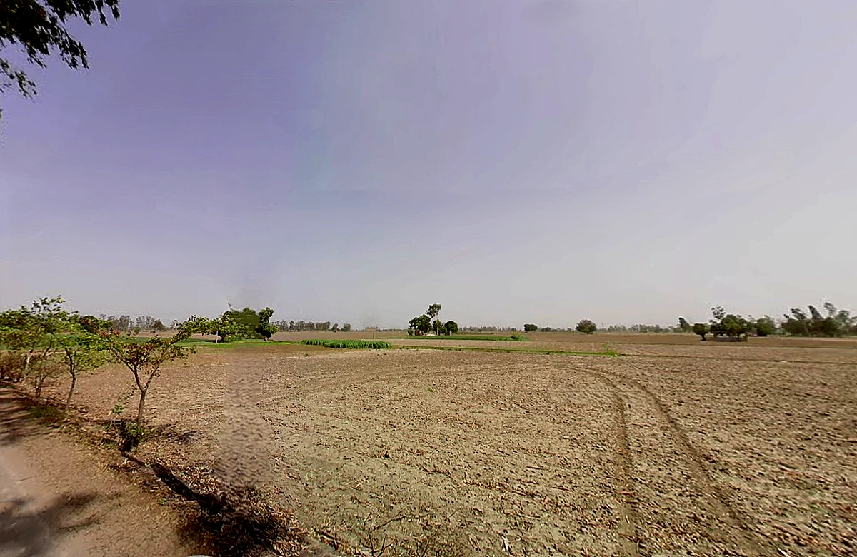 Bapauli, Haryana 132104, India