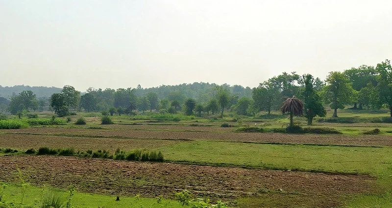 Agricultural Land in Binmitrapur, Sundargarh