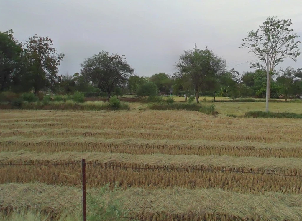 Hasauda, Chhattisgarh 493889, India