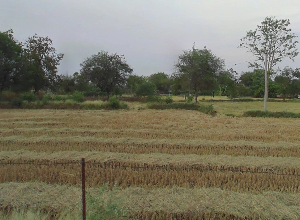 Hasauda, Chhattisgarh 493889, India