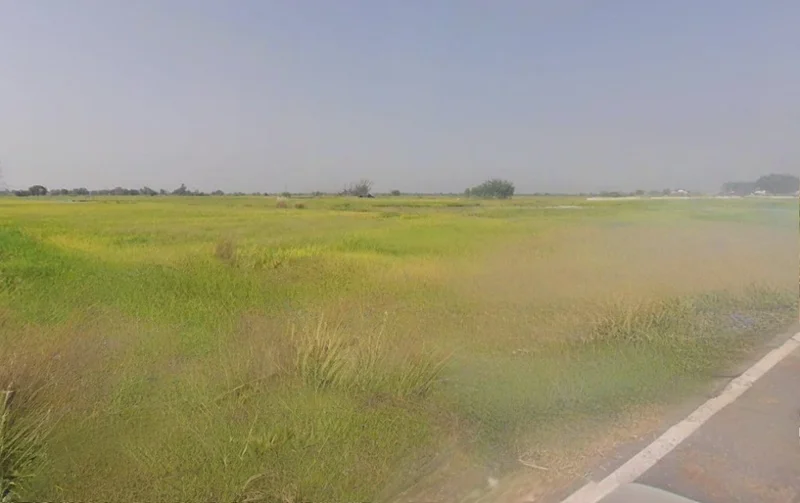 Rasulabad, Uttar Pradesh 209306, India preview 3