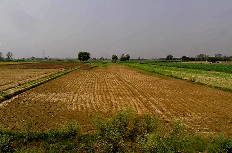 Bijauli, Uttar Pradesh 245206, India