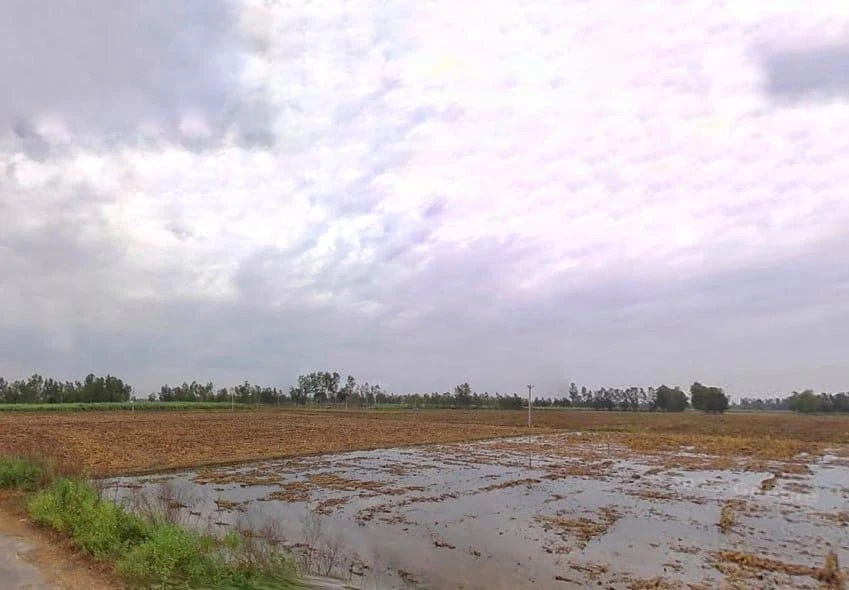 Puranpur Rd, Navadia Mankanth, Uttar Pradesh, India