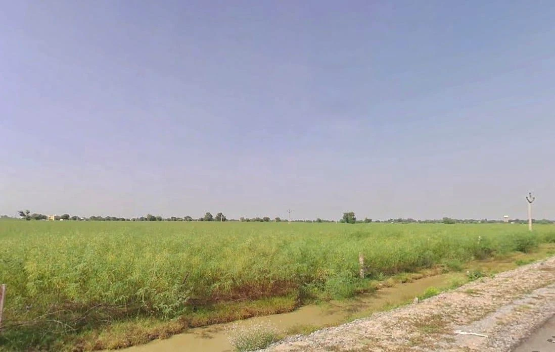 Hukampura, Rajasthan, India